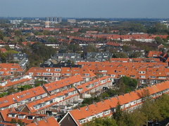 IMG 2556