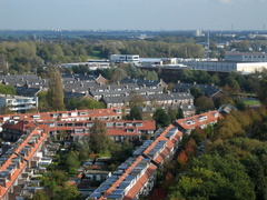 IMG 2559