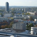 IMG 2572