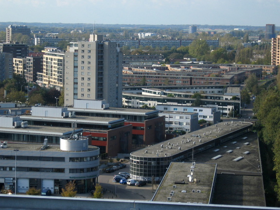 IMG 2574