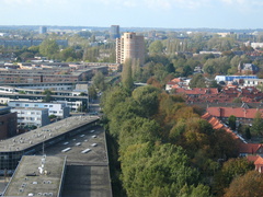 IMG 2575