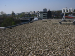img 0693