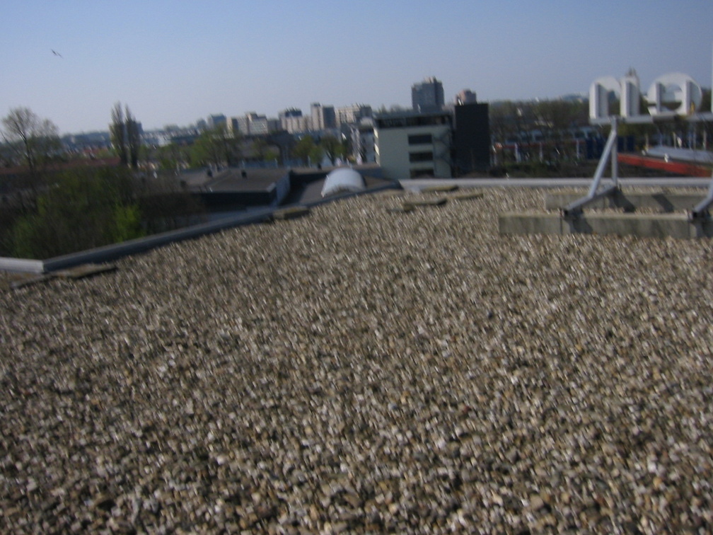 img 0693