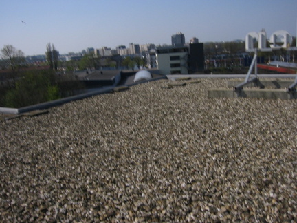 img 0693
