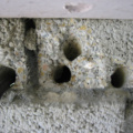 img 0701