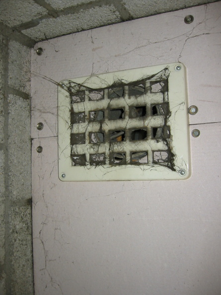 img 0708