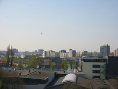 img 0712