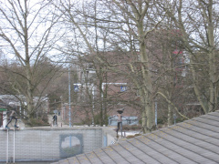 regenboogpad0006