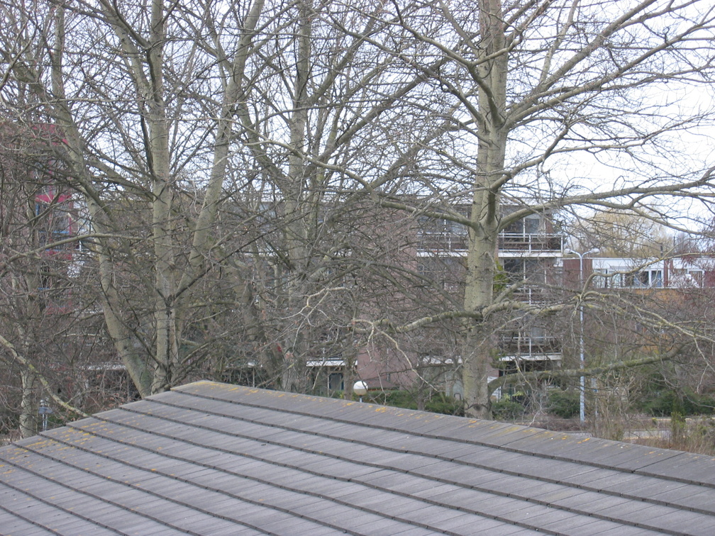 regenboogpad0007