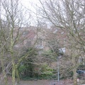regenboogpad0021