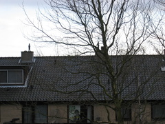 regenboogpad0023