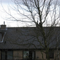 regenboogpad0023
