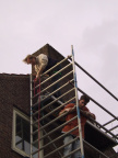 IMG 1942