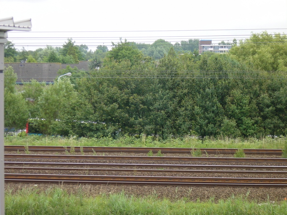 dsc00618