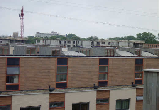 dsc00635 (60 visits) dsc00635