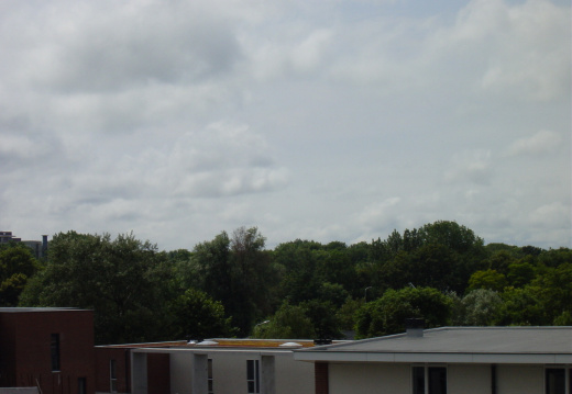 dsc00664 (65 visits) dsc00664