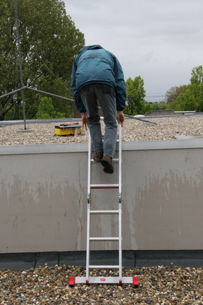 IMG 4425