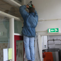 IMG 4441