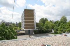 IMG 4456