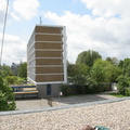 IMG 4456