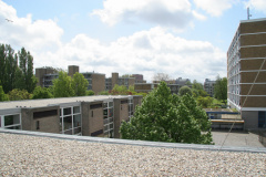 IMG 4457