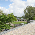 IMG 4460