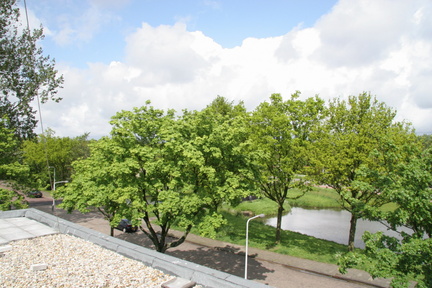 IMG 4463