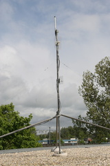 IMG 4487
