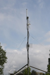 IMG 4495
