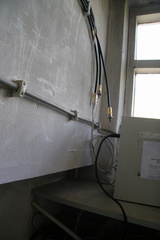 IMG 4497