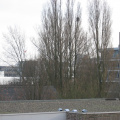 wissel survey0005