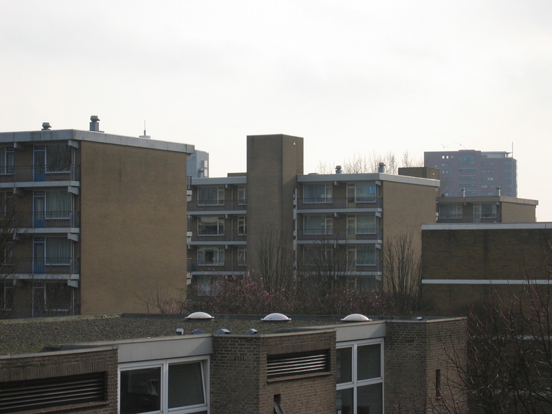 wissel survey0007