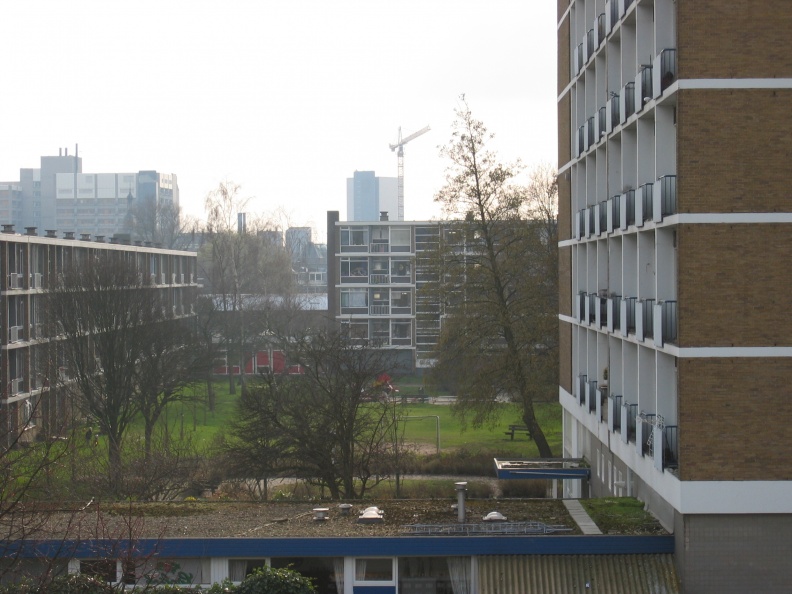 wissel_survey0009.jpeg