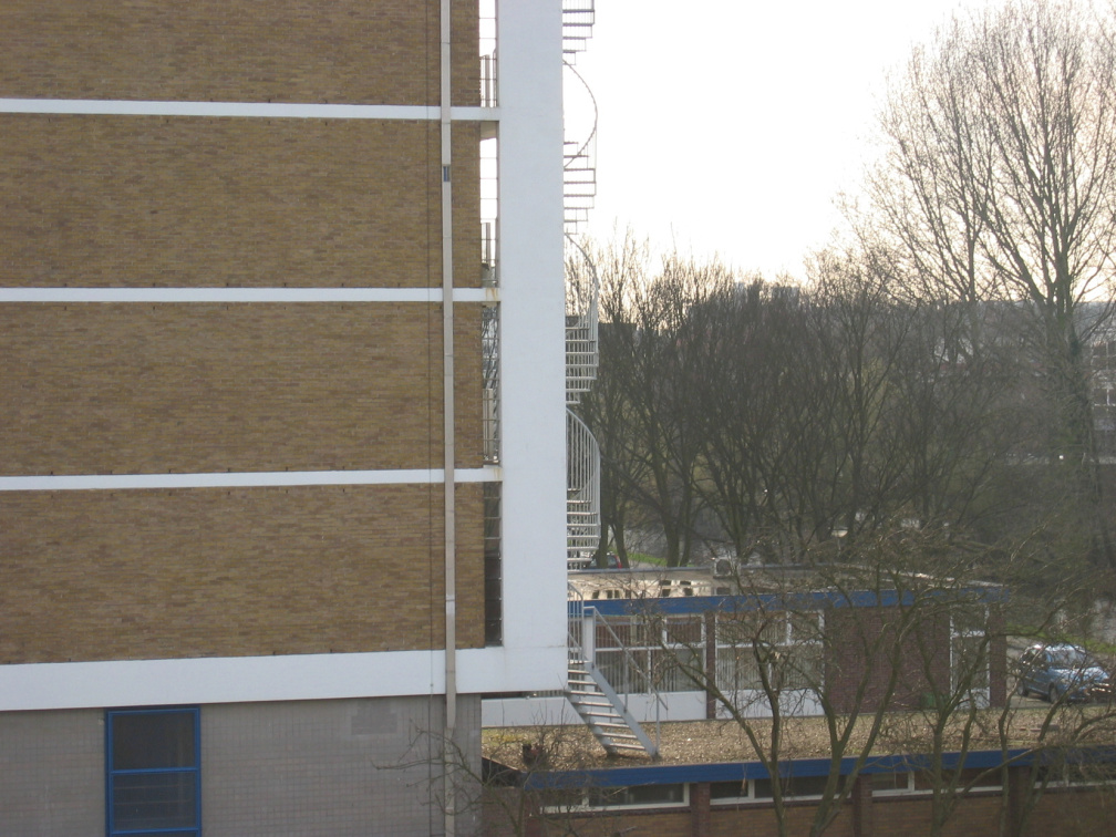 wissel survey0010