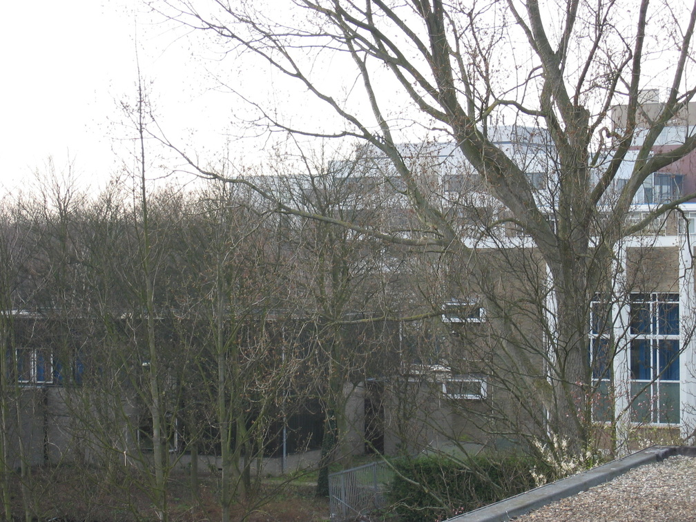 wissel survey0013