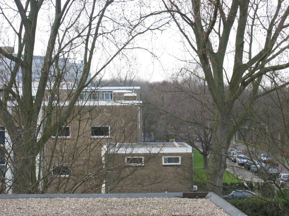 wissel survey0015