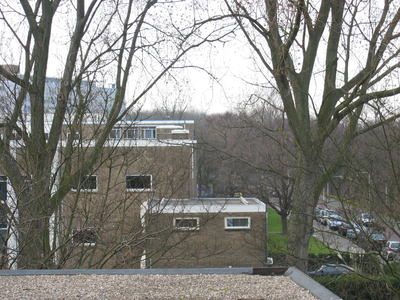 wissel_survey0015.jpeg