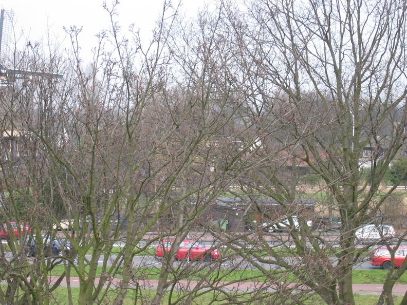 wissel_survey0022.jpeg