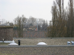 wissel survey0028
