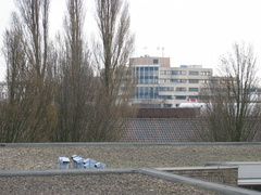 wissel survey0029