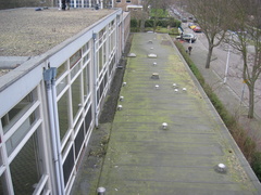 wissel survey0032