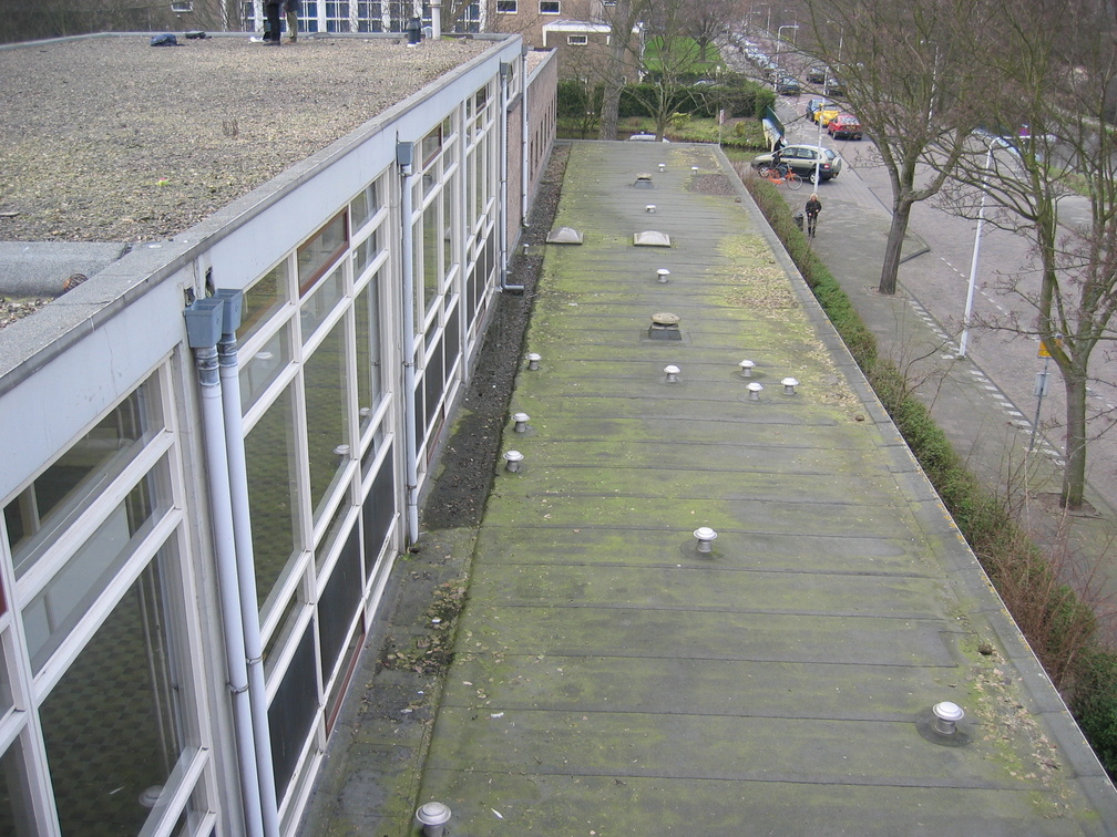 wissel survey0032