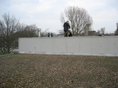 wissel survey0033