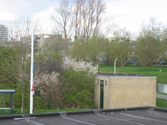 zwaluw mz0004