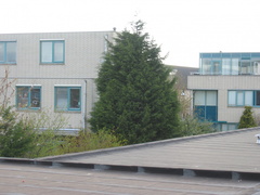 zwaluw mz0019