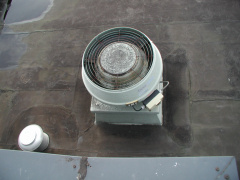 P1010006