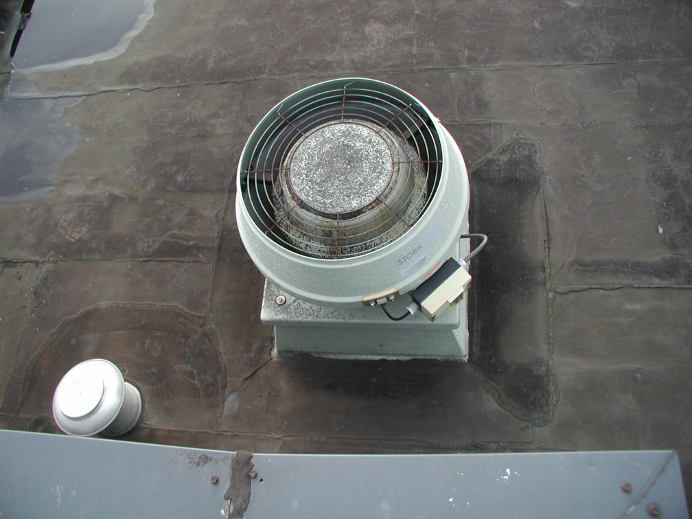 P1010006