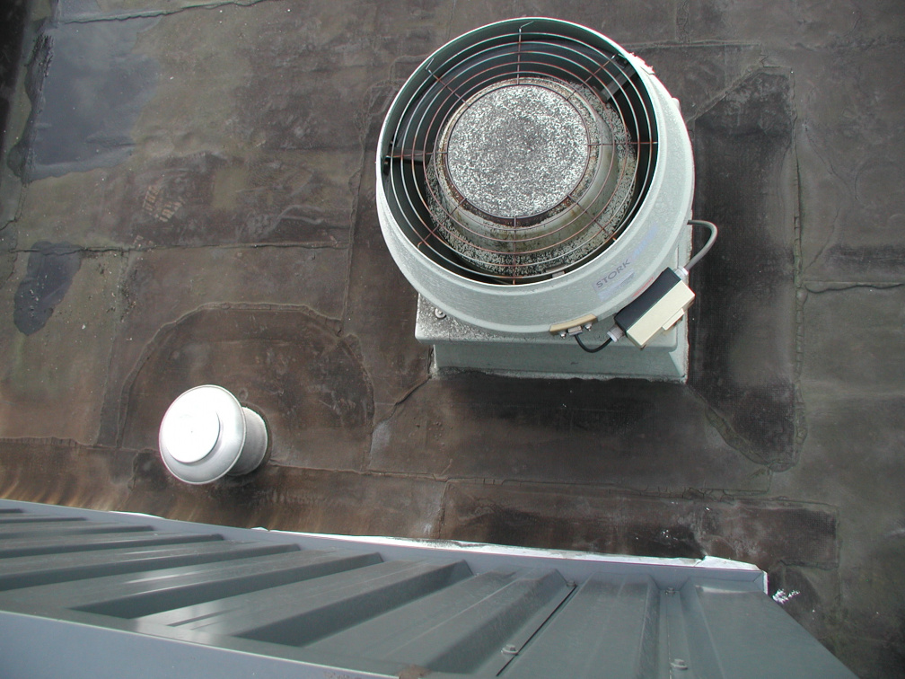 P1010007