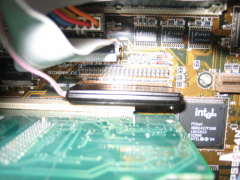 IMG 0274