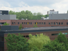 img 3083